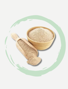 Psyllium